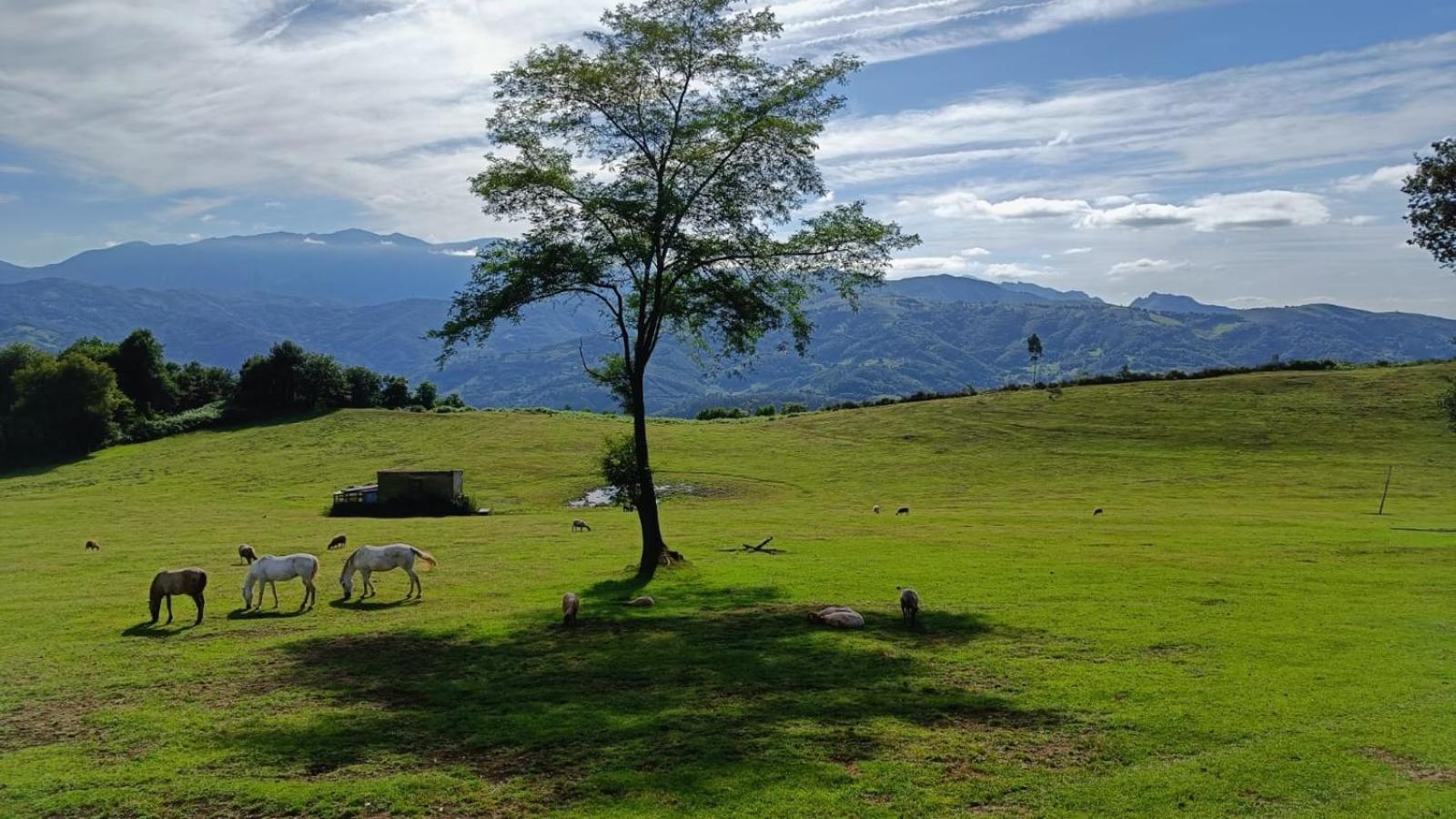 Вилла La Casina De Asturias Мьерес Экстерьер фото